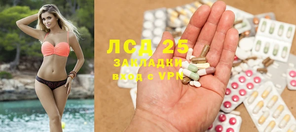 дмт Нея