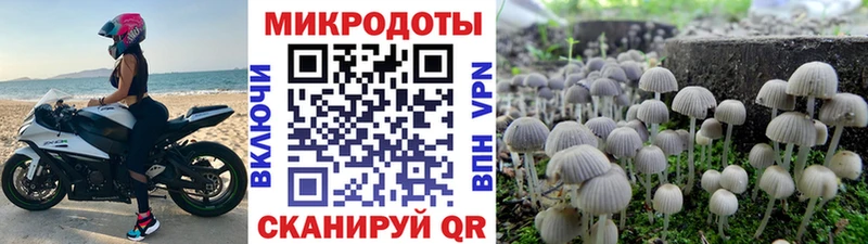 Галлюциногенные грибы мицелий  Плёс 